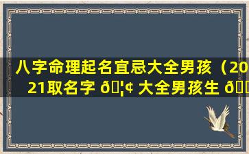 八字命理起名宜忌大全男孩（2021取名字 🦢 大全男孩生 🐶 辰八字起名）